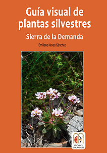 guia orchis italica